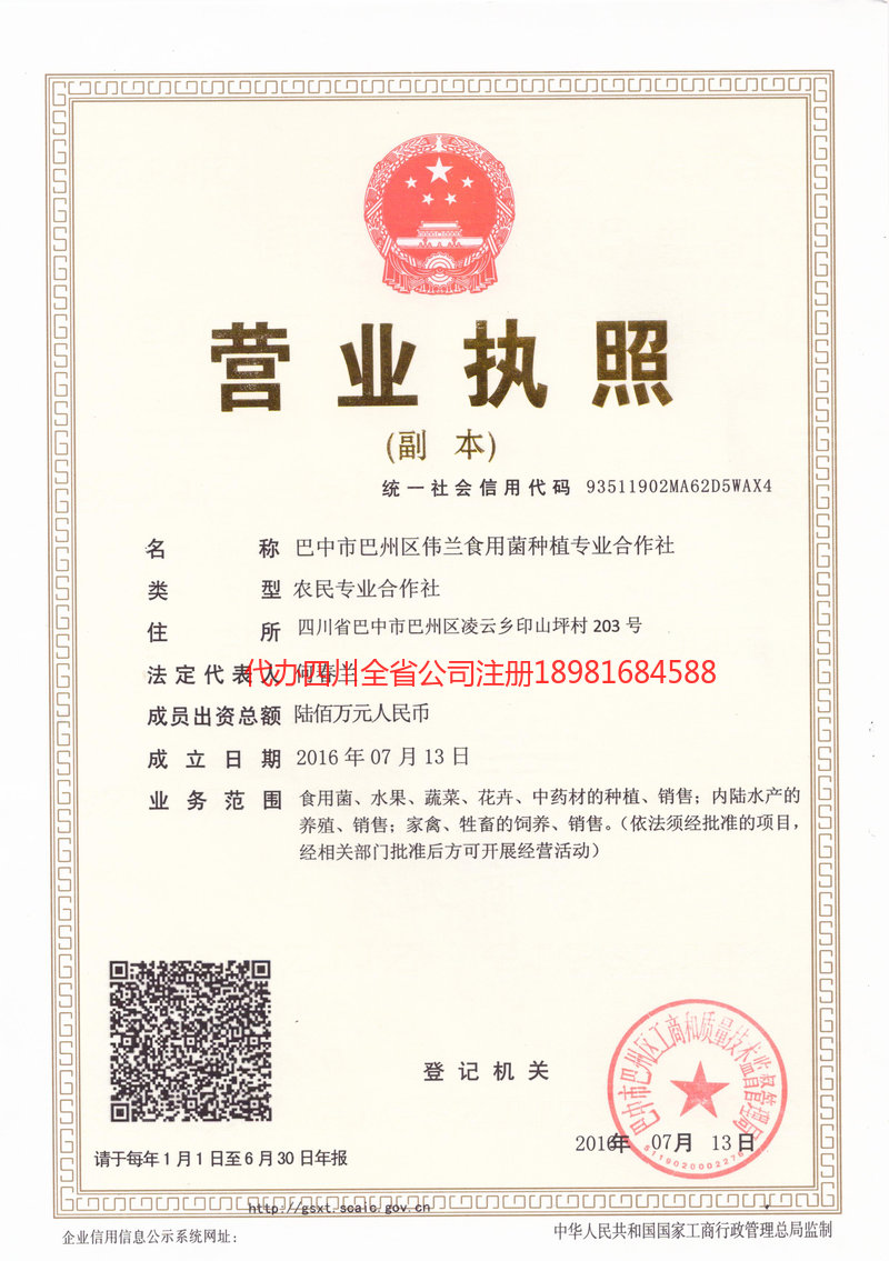 嘉峪关嘉峪关伟兰食用菌种植专业合作社